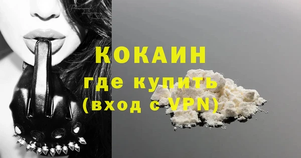 ешки Дмитриев