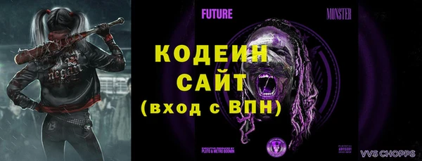 ешки Дмитриев