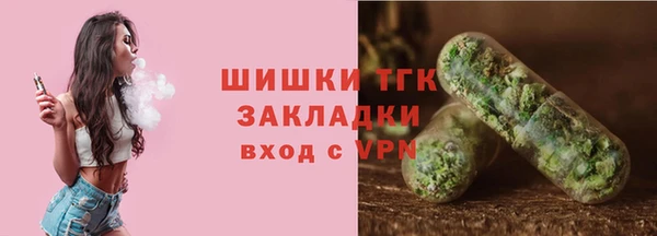ешки Дмитриев