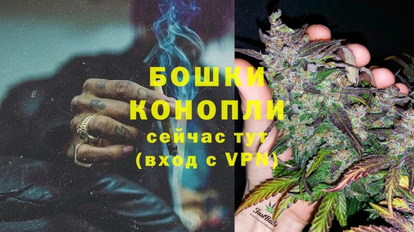 ешки Дмитриев